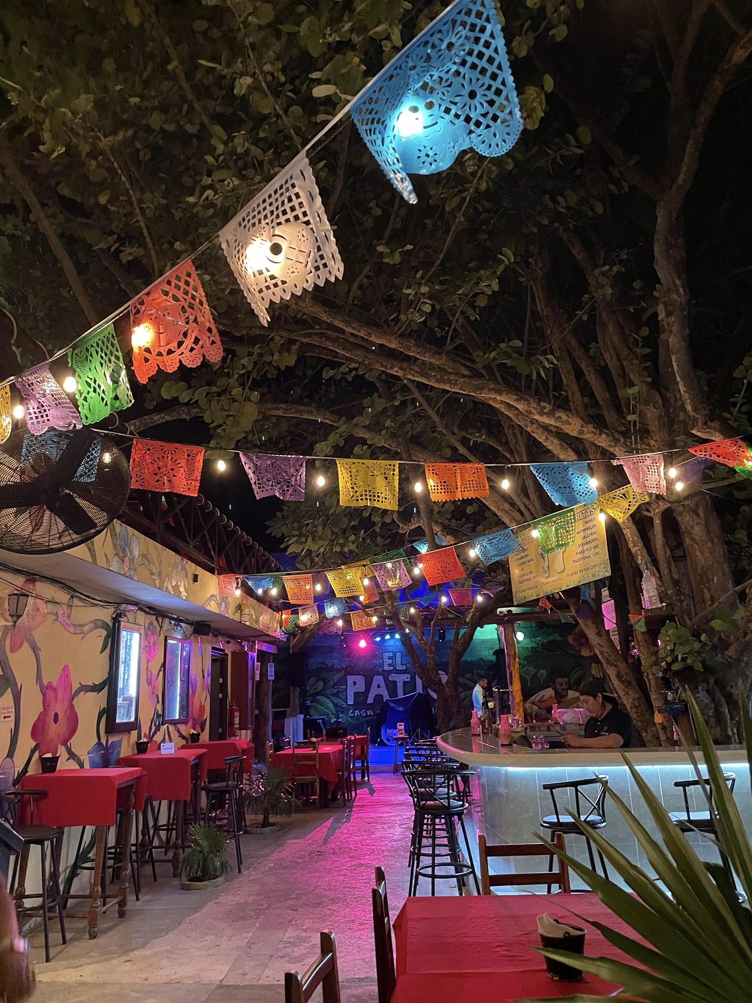 Isla Mujeres Night life